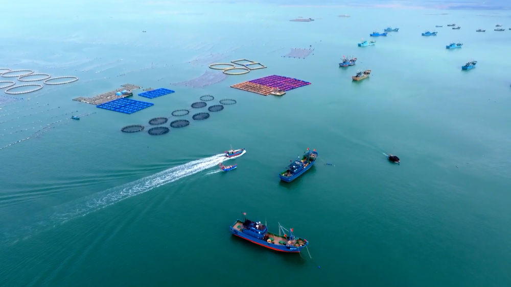 绿色动力 蓝色梦想——中国航海装备驶向星辰大海
